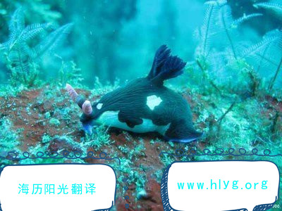 1596759088767602.jpg 導(dǎo)游詞.jpg