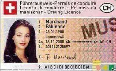 1683615066316707.png 瑞士.png